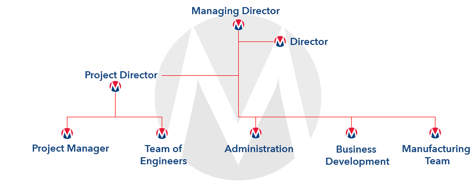 McCullough Team Structure